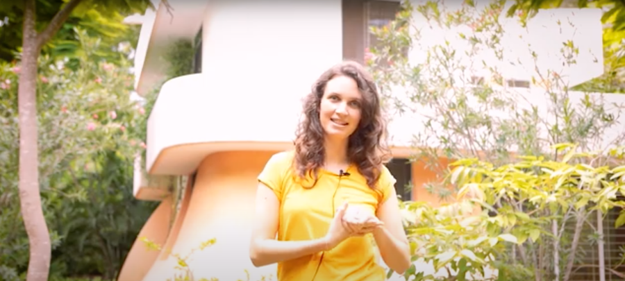 Captura de pantalla 2020-06-18 12.08.13